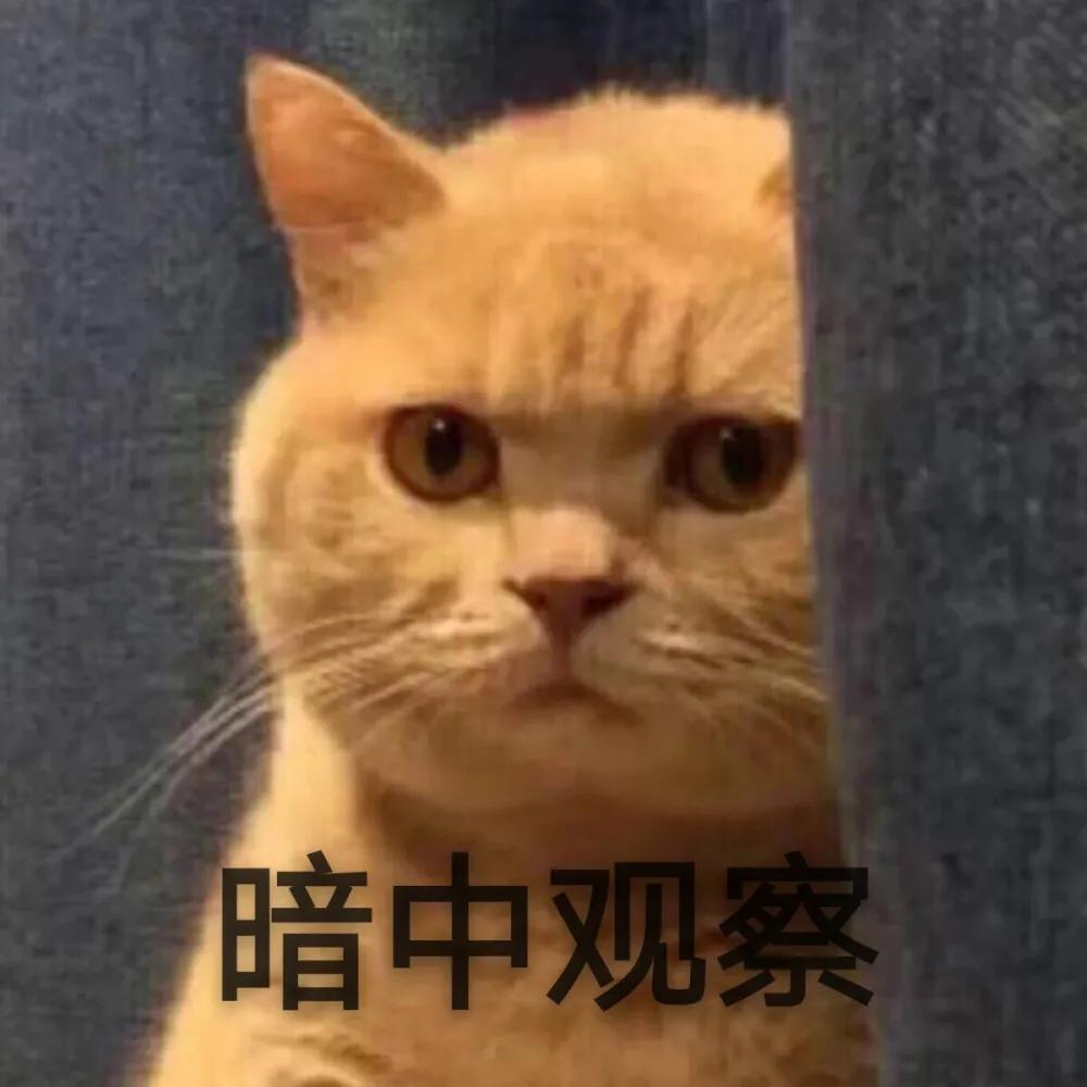 你会正确刹车吗,你真的会踩刹车吗