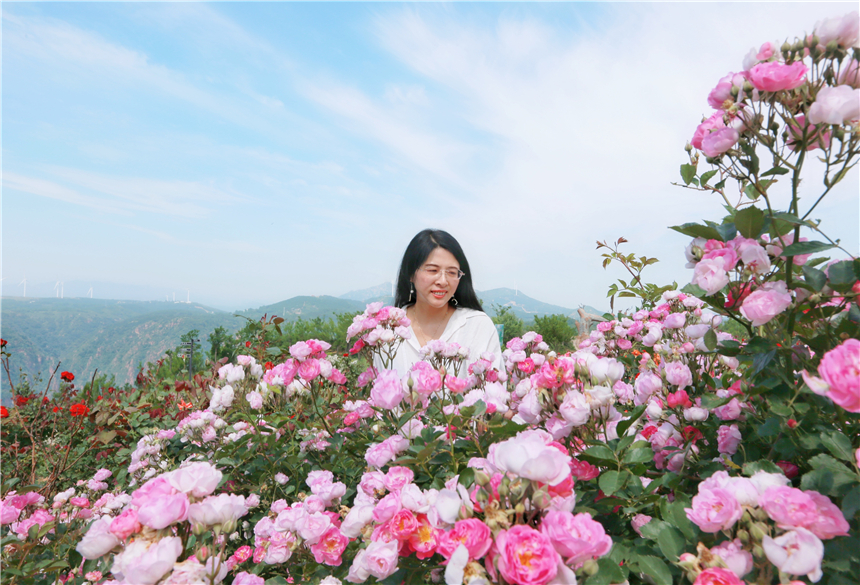 初夏河南,找寻童心,邂逅伏羲山的斜阳,一颗心萌化在云上牧场