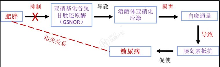 我们人体排毒系统有多强,细胞自噬对身体不好