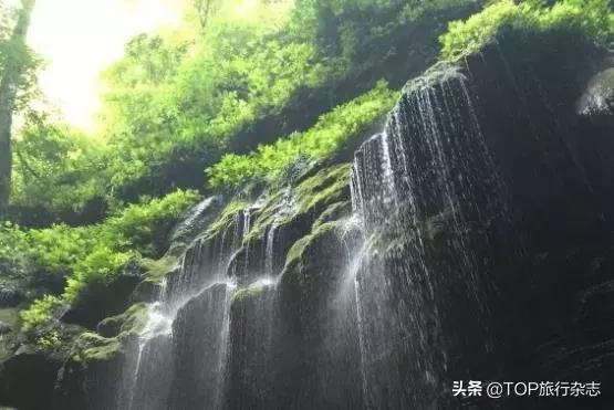 中国天然氧吧最好的去处在哪里,我国天然氧吧增56个