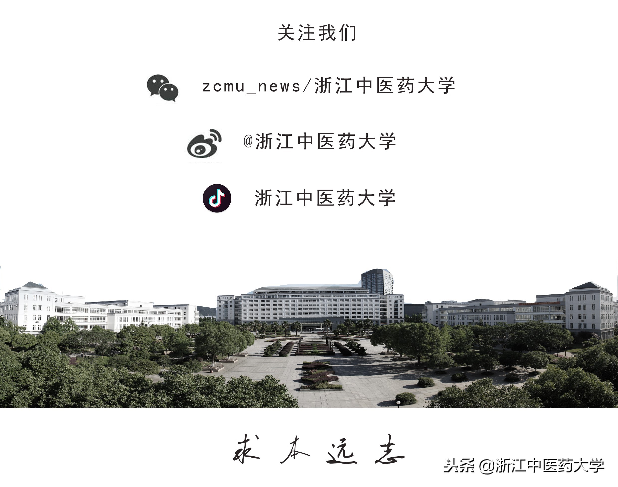 学习食疗基本原则有什么用,食疗基础常识