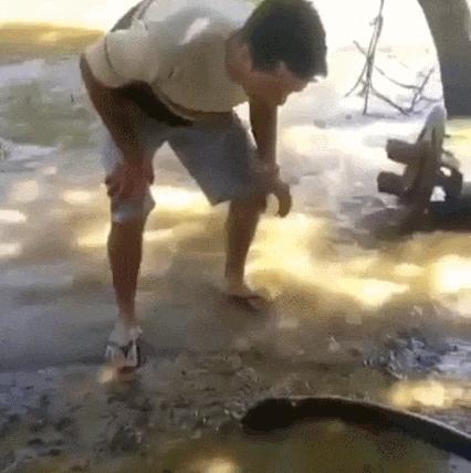 玩了一下电鳗,他口吐白沫倒下了