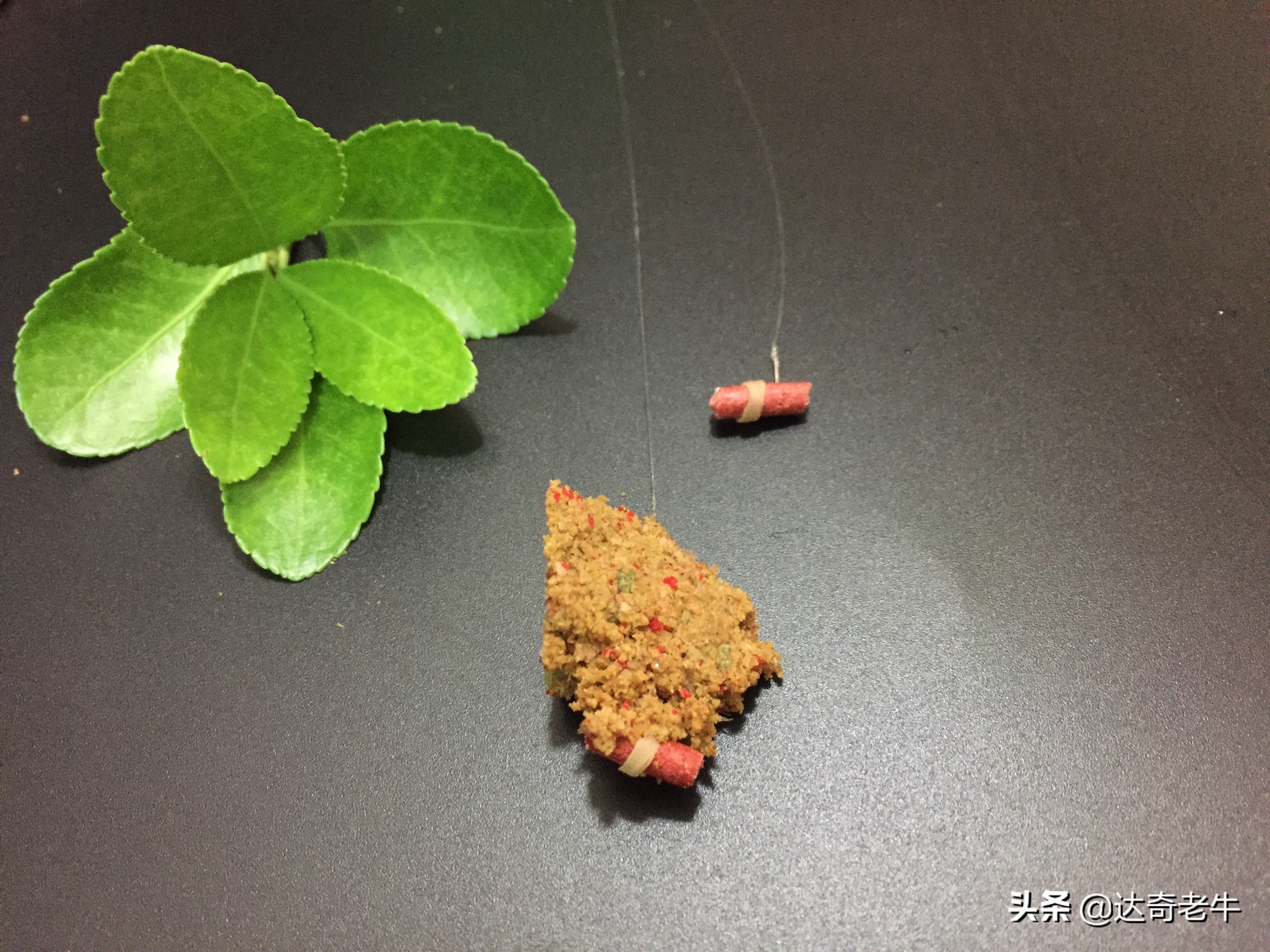 红虫颗粒钓鲤鱼用法,红虫颗粒钓鲫鱼效果怎么样