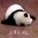 那些难用的雷品,十大难用的雷品排名