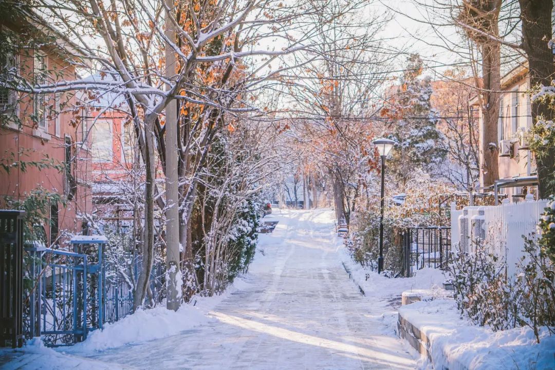 旅游三亚和厦门哪个更值得去,三亚和厦门哪一个更值得去旅游