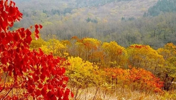 閭冲窞鑹惧北鏅尯,閭冲窞鑹惧北鍦伴渿