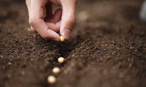 这部电影值得看：虽然有生活的辛酸，但更有生命的希望