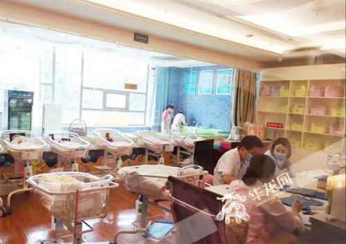 猪宝宝快出生,猪宝宝扎堆