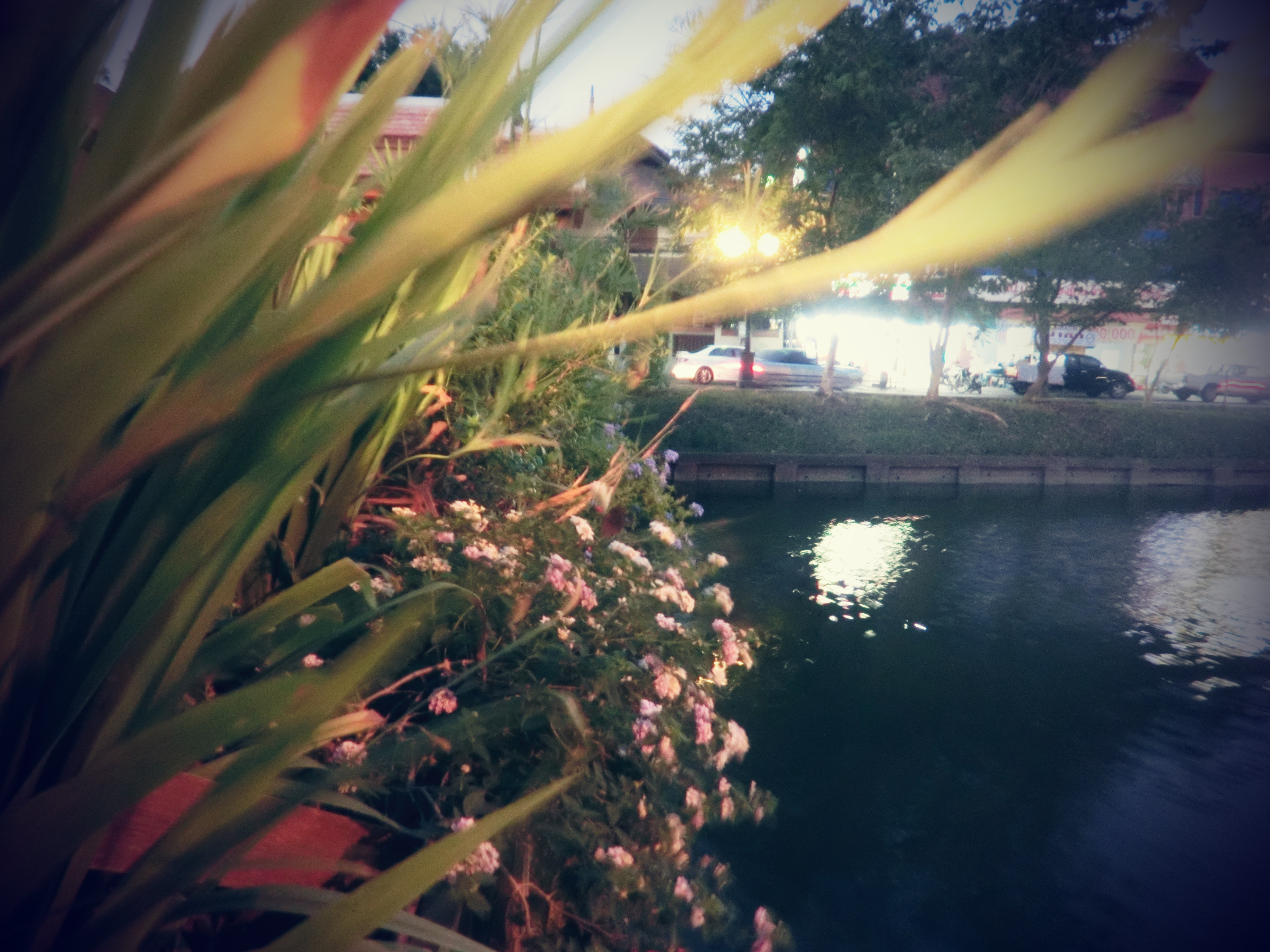 泰国清迈一座古都的历史,泰国清迈旅游攻略大全