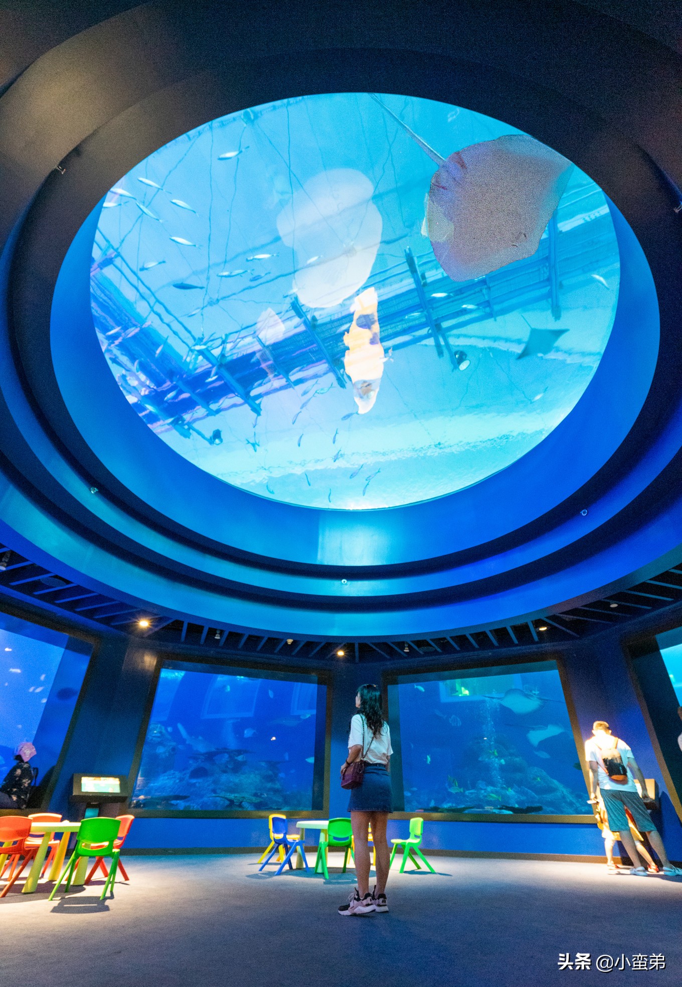 5年之许,小白逆袭重返新加坡