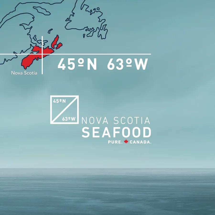 缇庡浗娉㈠＋椤垮埌缃楀垏鏂壒,浠庢尝澹】鍒板姞鎷垮ぇ