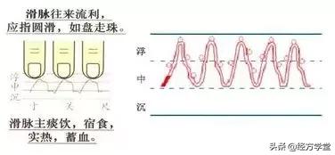 把脉纸上学,得来终觉浅!