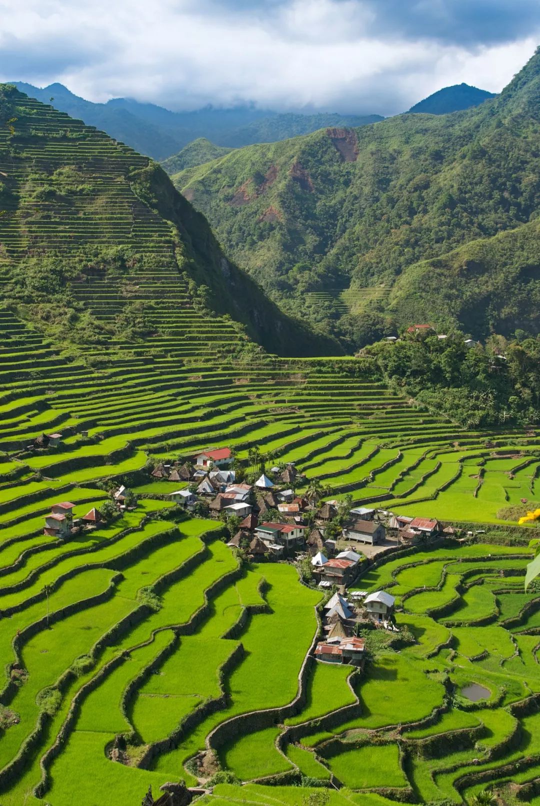 菲律宾碎玻璃,菲律宾塑料破碎