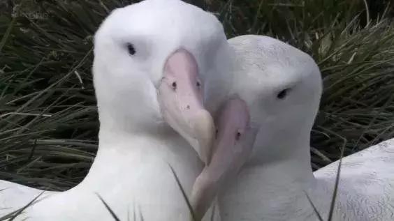 长春家长都领着孩子在干这件事儿,你没做,就落后了!