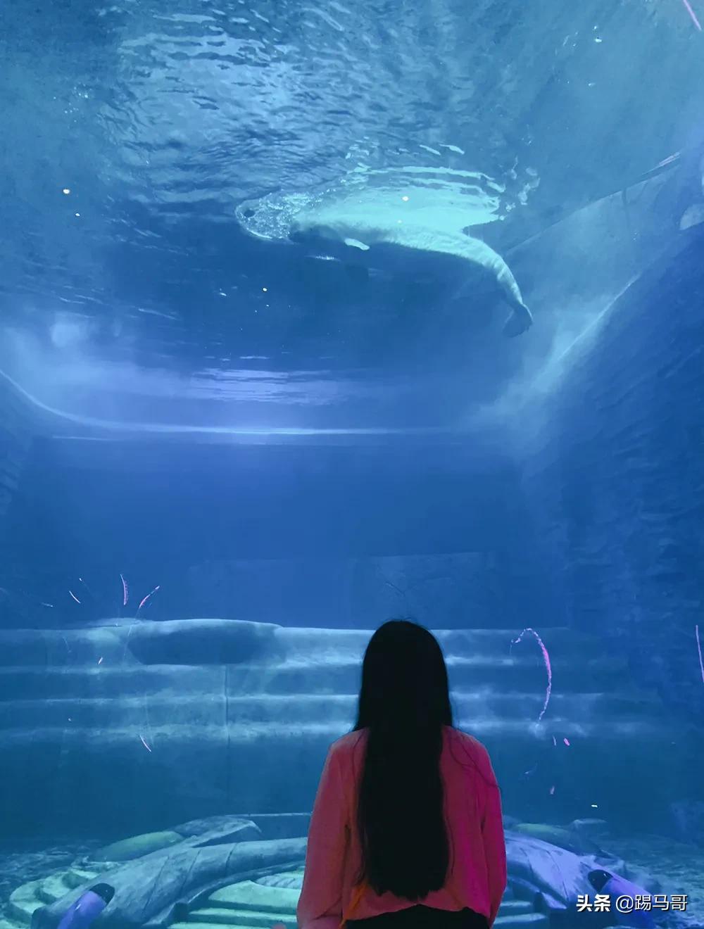 三亚不值得去的景点有哪些,三亚不值得去的景区