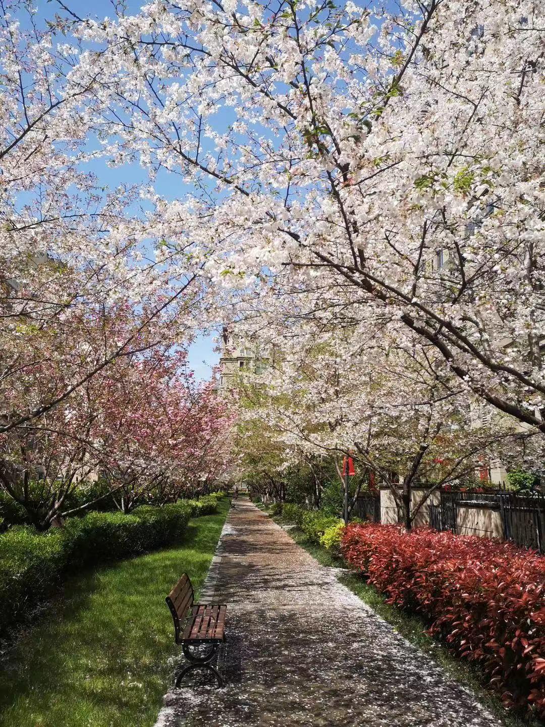 探秘合肥更受欢迎的主题公园,合肥宝藏小区