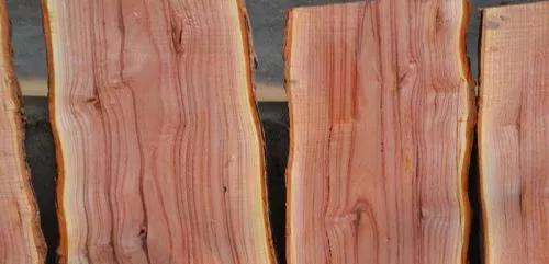 香椿木适合做什么家具,香椿木适合做什么茶台