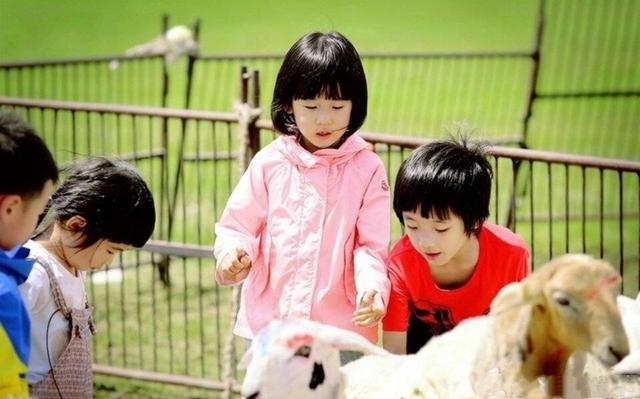 儿童恐惧症的表现及干预动画,小孩上台恐惧症如何治疗