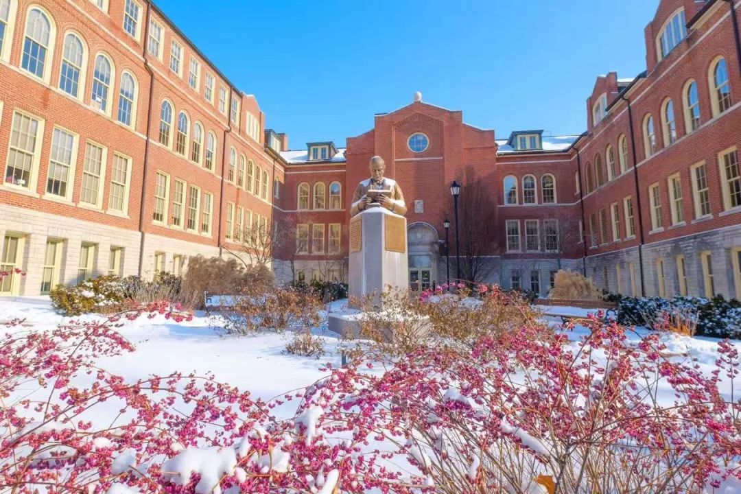 留学美国如何选专业,美国留学申请中介一年费用