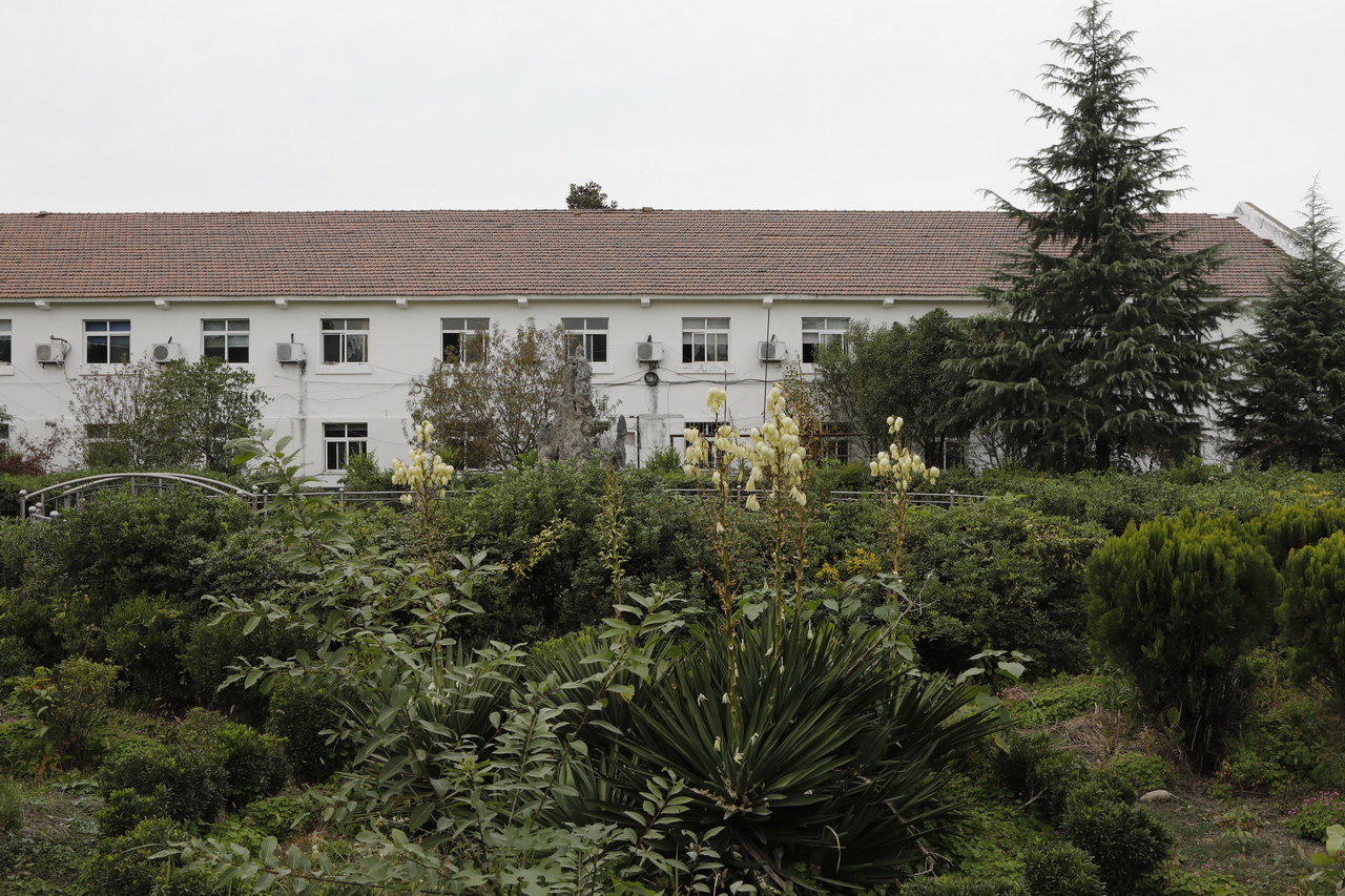 三线红山化工厂,湖北三线536厂