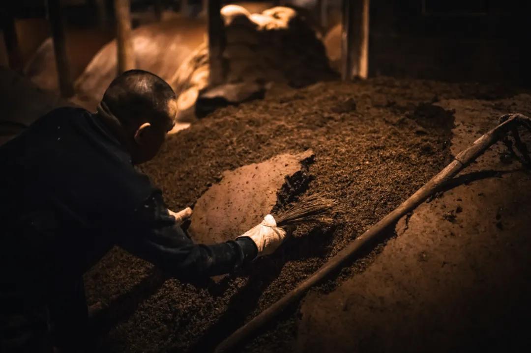 五粮品质｜用一辈子酿造的酒，有多好喝？