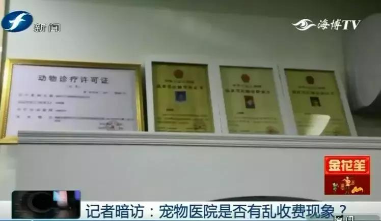 鍝瀹犵墿鍖婚櫌姝h涓嶄贡鏀惰垂,鏇濆厜瀹犵墿琛屼笟榛戝箷