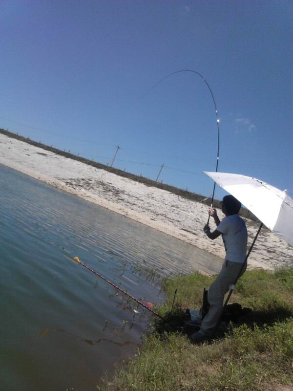 哪些鱼竿上全是饵料,钓鱼装备中高端鱼竿推荐