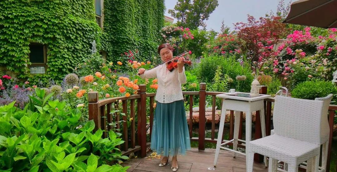 东北花园四季开花植物,北方一年四季都开花的花园