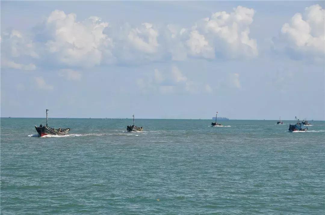 青岛开海了新鲜肥美的海鲜已上市,青岛开海红岛海鲜八大关