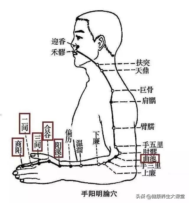 把穴位像药物一样分类后，运用竟如此简单