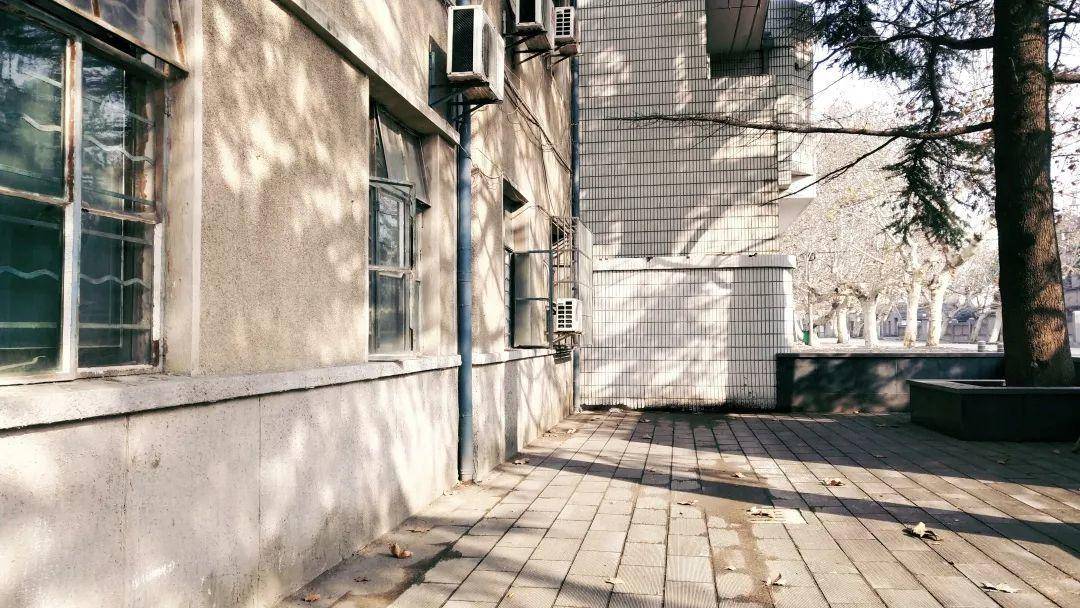 那些年你不能错过的rose的翻唱,那些年你不能错过的美食