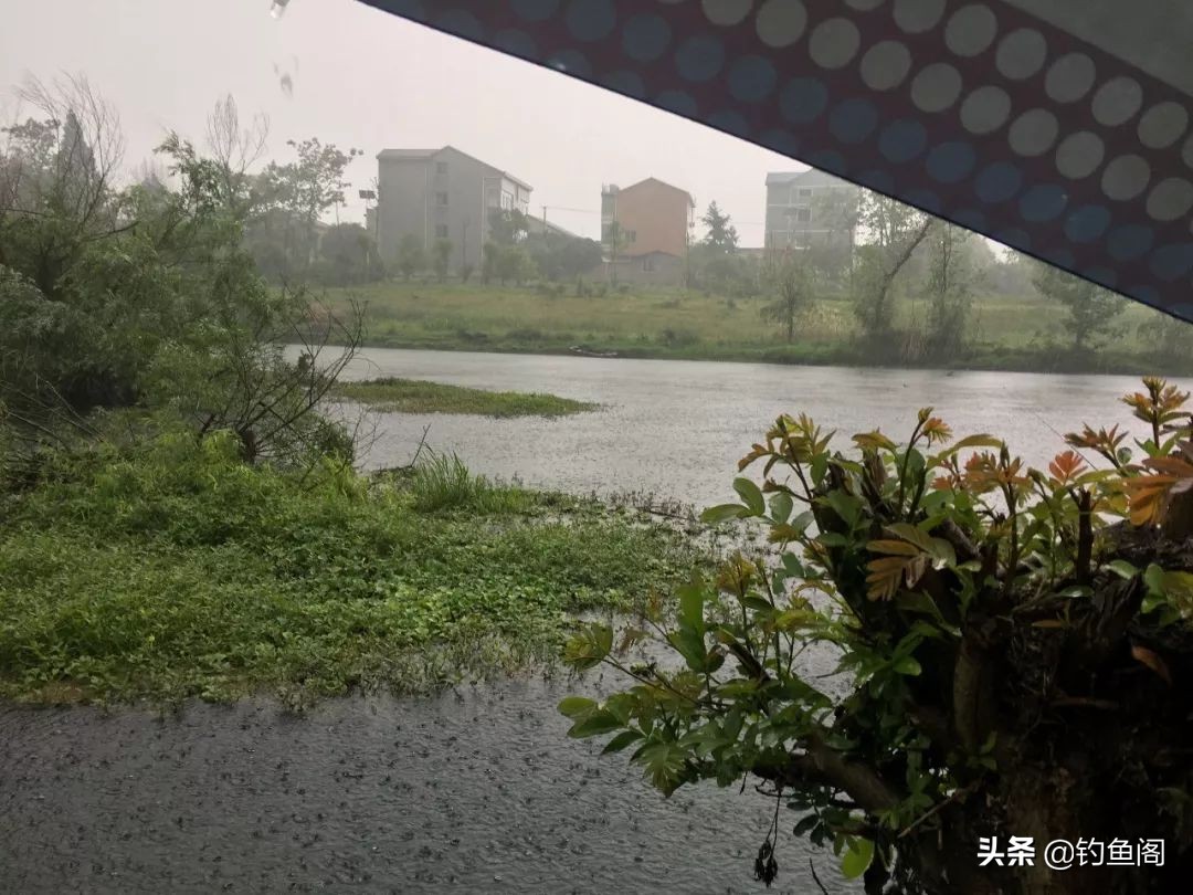 突然下雨降温第一天钓鱼好钓吗,下雨刮风好钓鱼吗