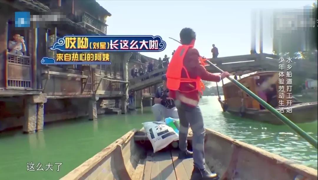 杨紫和张一山从小到大一个学校,刘星时期的张一山和杨紫多大