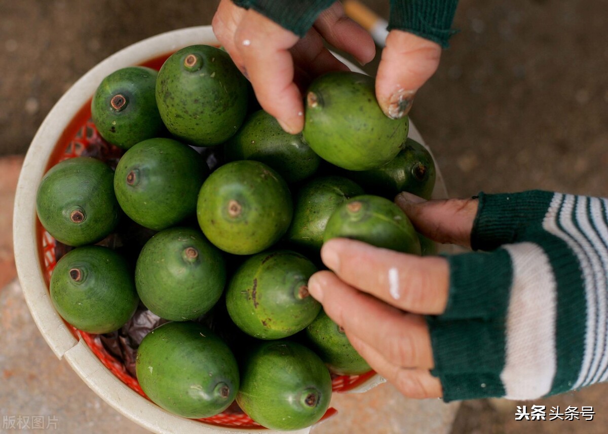 嚼槟榔舌癌,嚼槟榔有什么危害
