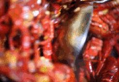 合肥龙虾馆配方大全,龙虾店的龙虾做法