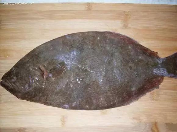 渔民海鲜大全,渔民整理的海鲜河鲜大全