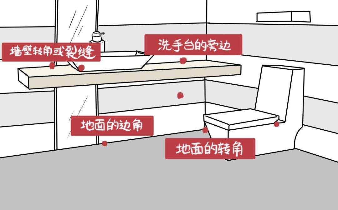 北方人第一次见到会飞的蟑螂,北方人第一次看到会飞的蟑螂反应