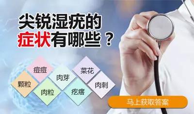 尖锐湿疣早期不痛不痒，容易被忽视