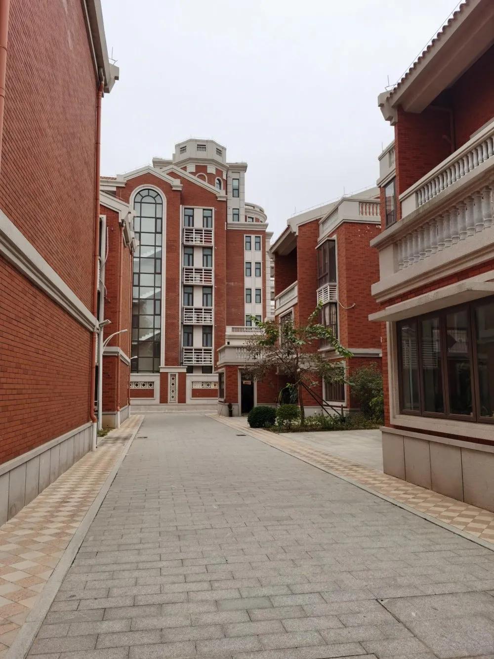 吴川一老先生归乡游玩,抒发家乡社会主义新农村建设有感