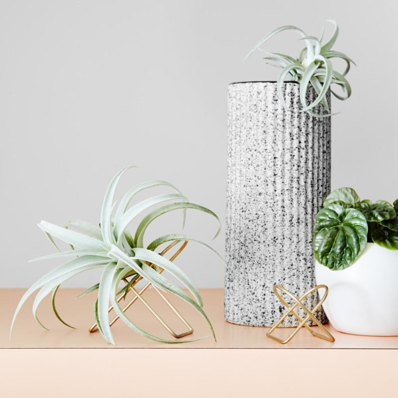 植物展示架,多层植物展示架