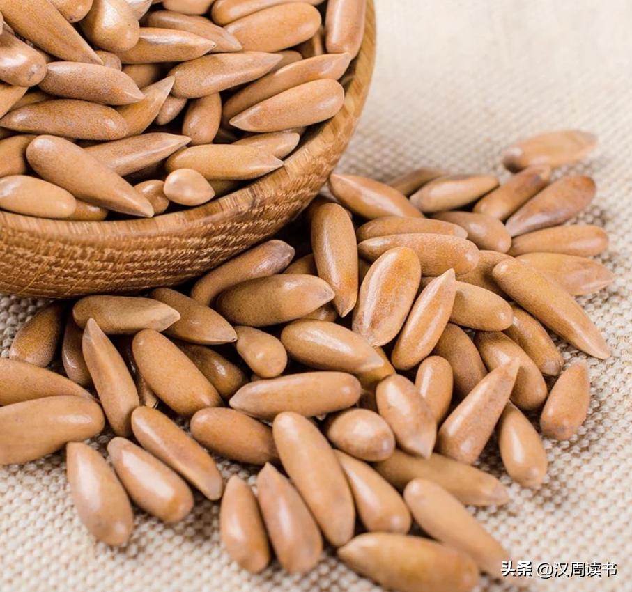 足球世界绿巨人,足球世界的绿巨人