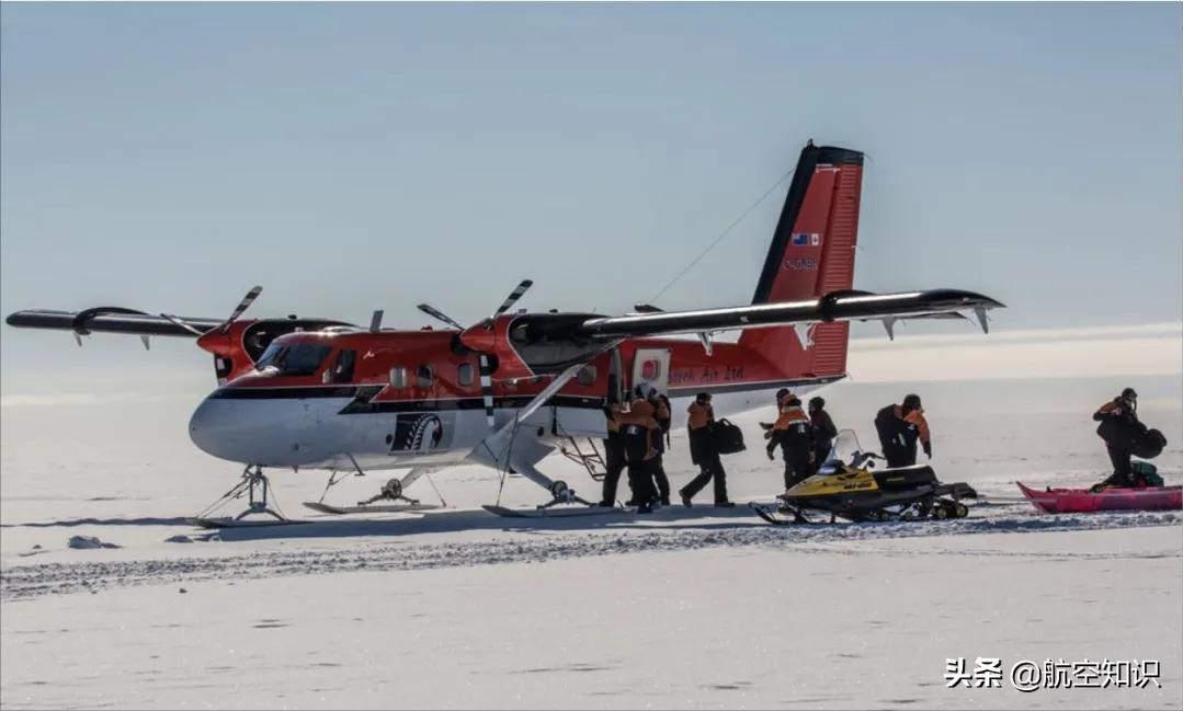 飞机制造商对动物的喜爱到底有多深?——德哈维兰加拿大