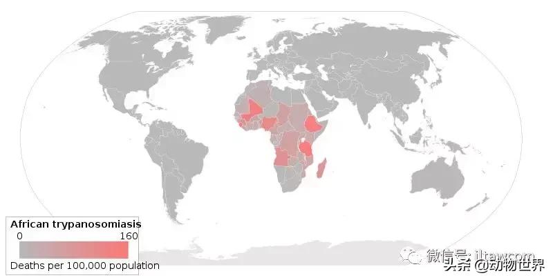 昏睡病能治吗,昏睡跟嗜睡