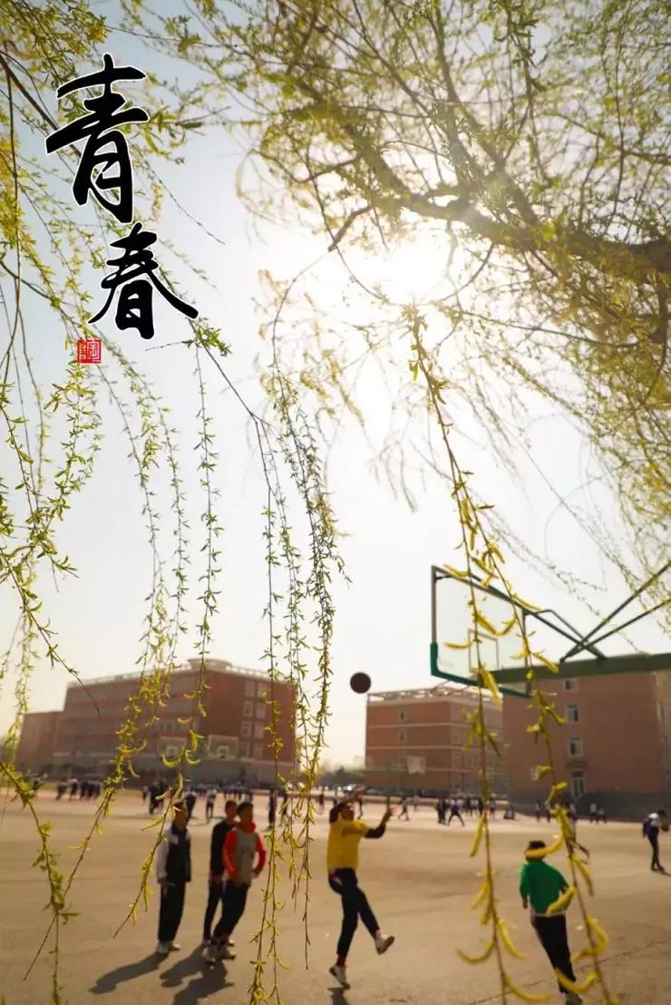 辽宁翔宇中学,2021辽宁沈阳翔宇中学