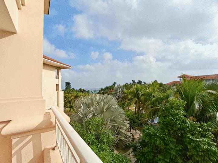 测评真我gt5pro拍照,测评拍照realmex50pro5g