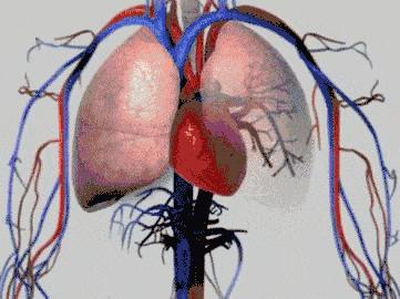 院士们怒了:别再说这几句鬼话,来骗中国人了!