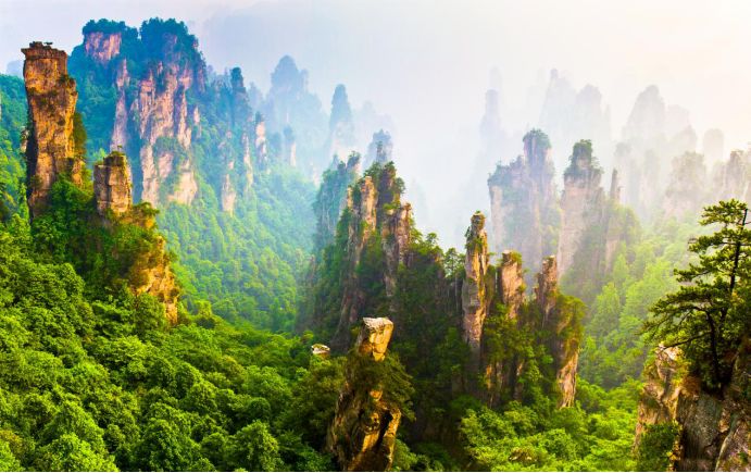 土拨鼠宠物怎么样养,土拨鼠宠物建议养吗