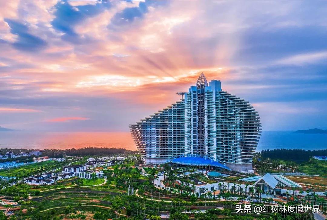 逃离北方的寒冷,逃离北方森林