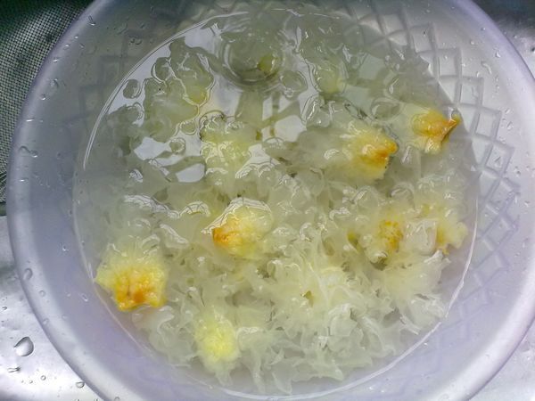 在家煮银耳梨汤,在家怎么煮银耳