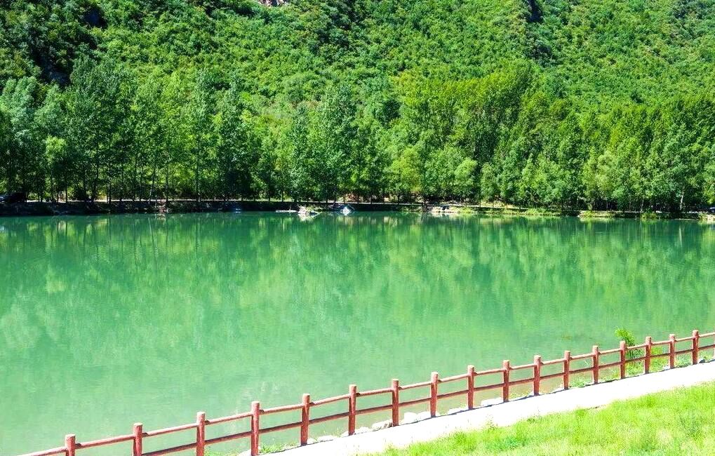 细节全面解析汽车,英菲尼迪qx50悦享版自驾